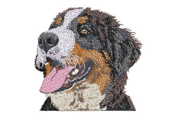 Bernese Mountain Dog Holiday Review